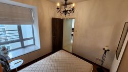 8 @ Mount Sophia (D9), Condominium #588705161